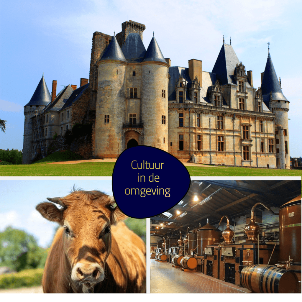 Cultuur in de omgeving vakantie Frankrijk